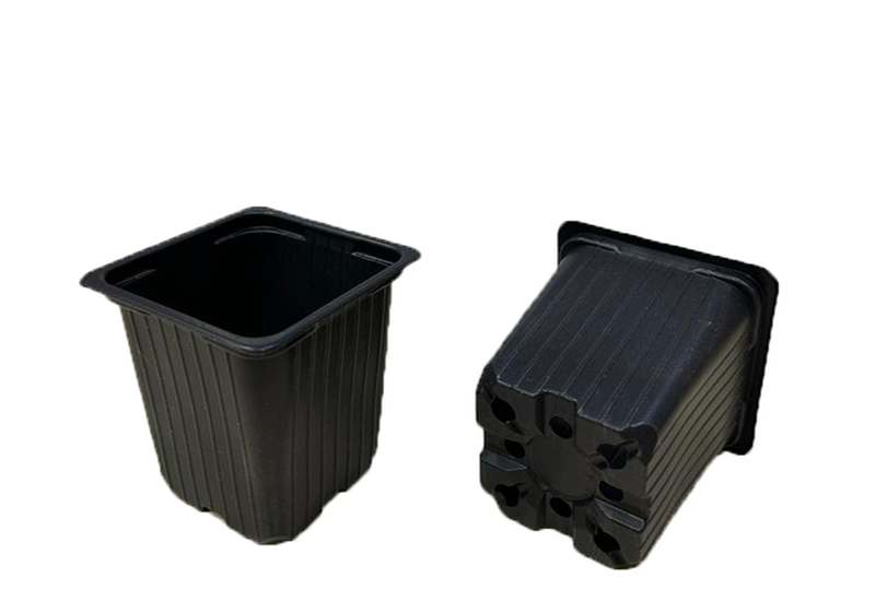 7x7x7 Kare Saksı (5.100 adet)