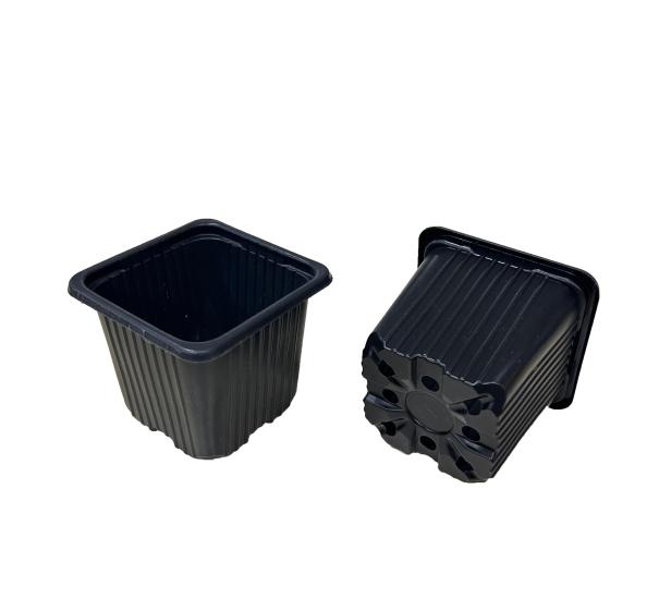 7x7x7 Kare Saksı